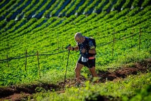 BIB: 
                            <button type="button" onclick="openModal(19160579)" class="btn btn-primary btn-sm float-right btn-popup" data-toggle="modal" data-target=".modal-high-quality">
                        <i class="fas fa-shopping-cart"></i> Add to Cart
                    </button>
                                            <button type="button" onclick="isThisMe(19160579, true)" class="btn btn-success btn-sm float-right btn-popup btn-isme hidden" data-toggle="tooltip" data-placement="bottom" title="นี่คือรูปของคุณใช่ไหม คลิกที่นี่เพื่อเอาเข้าอัลบั้ม">
                        <i class="fas fa-plus"></i> Add to album
                    </button>
                    <button type="button" onclick="isThisMe(19160579, false)" class="btn btn-warning btn-sm float-right btn-popup btn-isnotme hidden">
                        <i class="fas fa-ban"></i> Remove from album
                    </button>